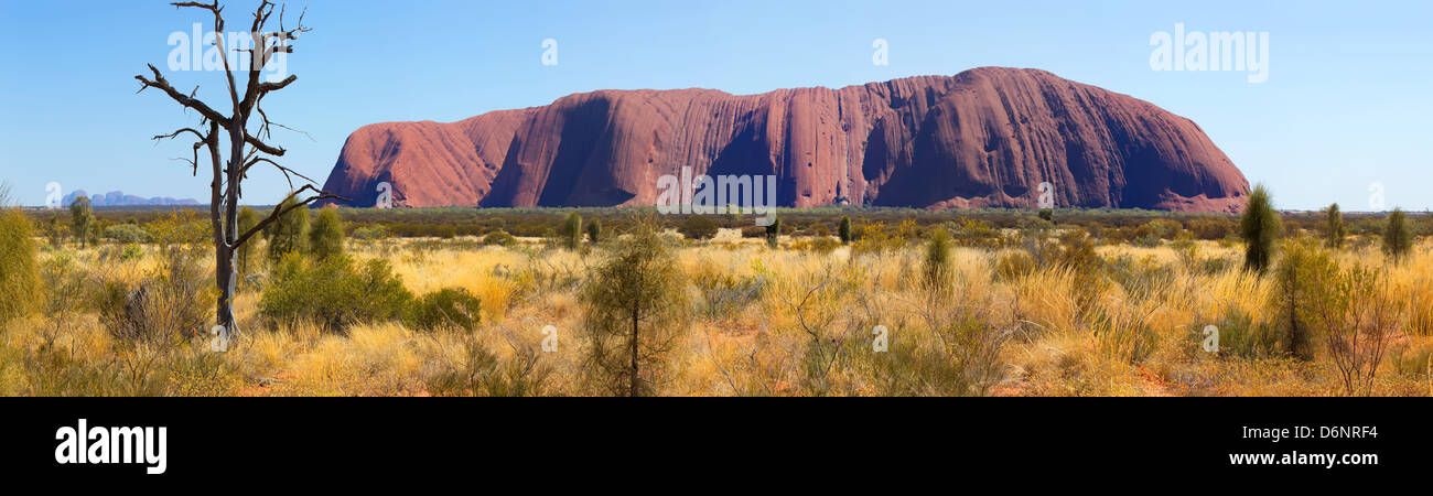 Paisajes paisaje panorámico Outback Australiano de pano panorama Uluru Ayers Rock, en el Territorio Norte de Australia Central Foto de stock