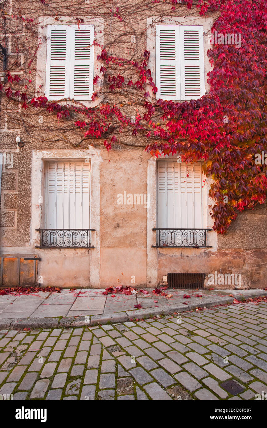 Hojas de otoño en Noyers-sur-Serein, en una de las bellas aldeas de Francia, Yonne, Borgoña, Francia, Europa Foto de stock