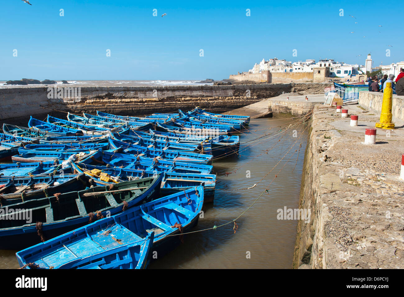 El azul de los barcos de pesca en el puerto de Essaouira, la antigua Mogador, Marruecos, Norte de África, África Foto de stock