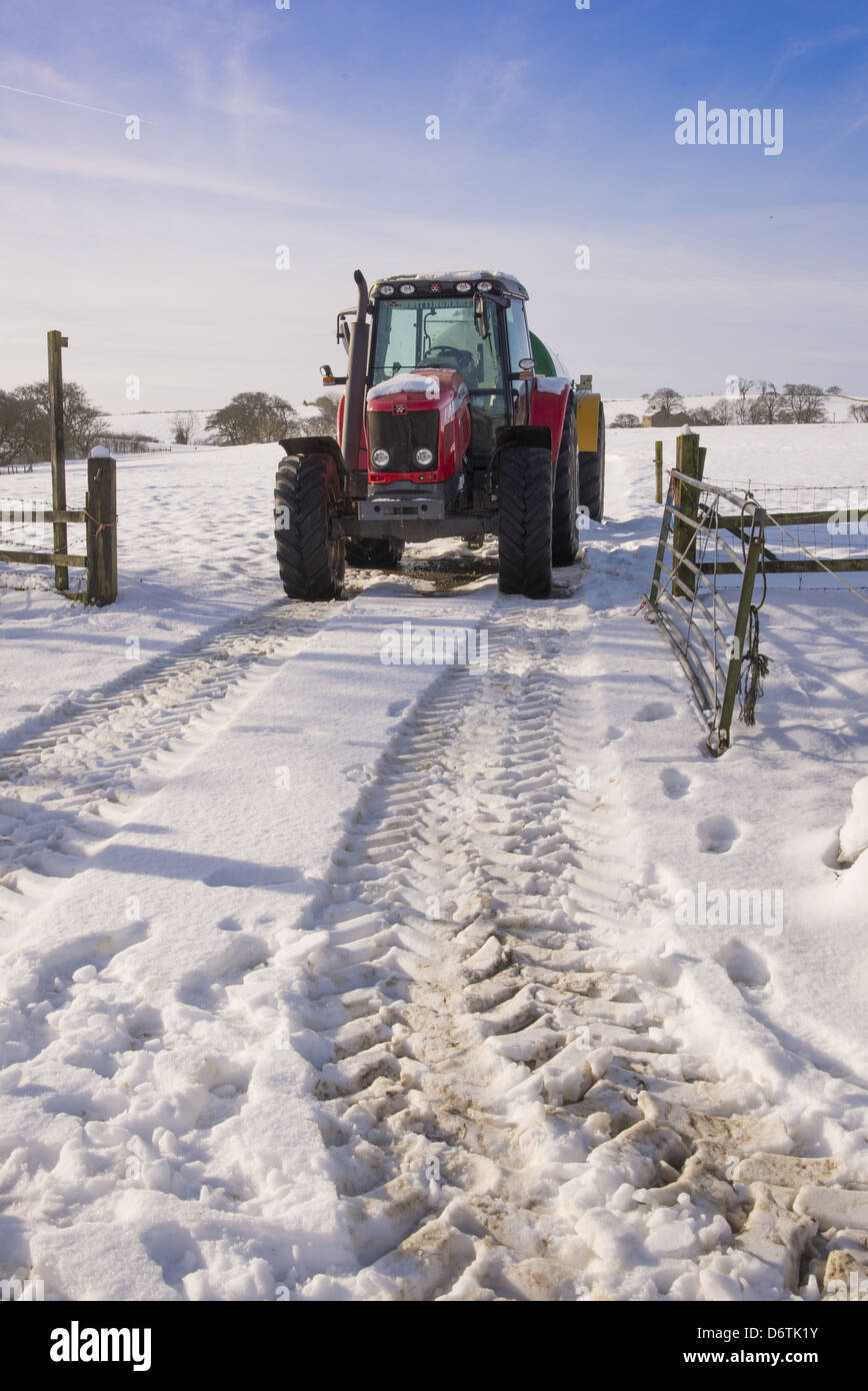 Massey Ferguson 5465 tractor con cisterna de purín en nieve, astillas, Lancashire, Inglaterra, enero Foto de stock