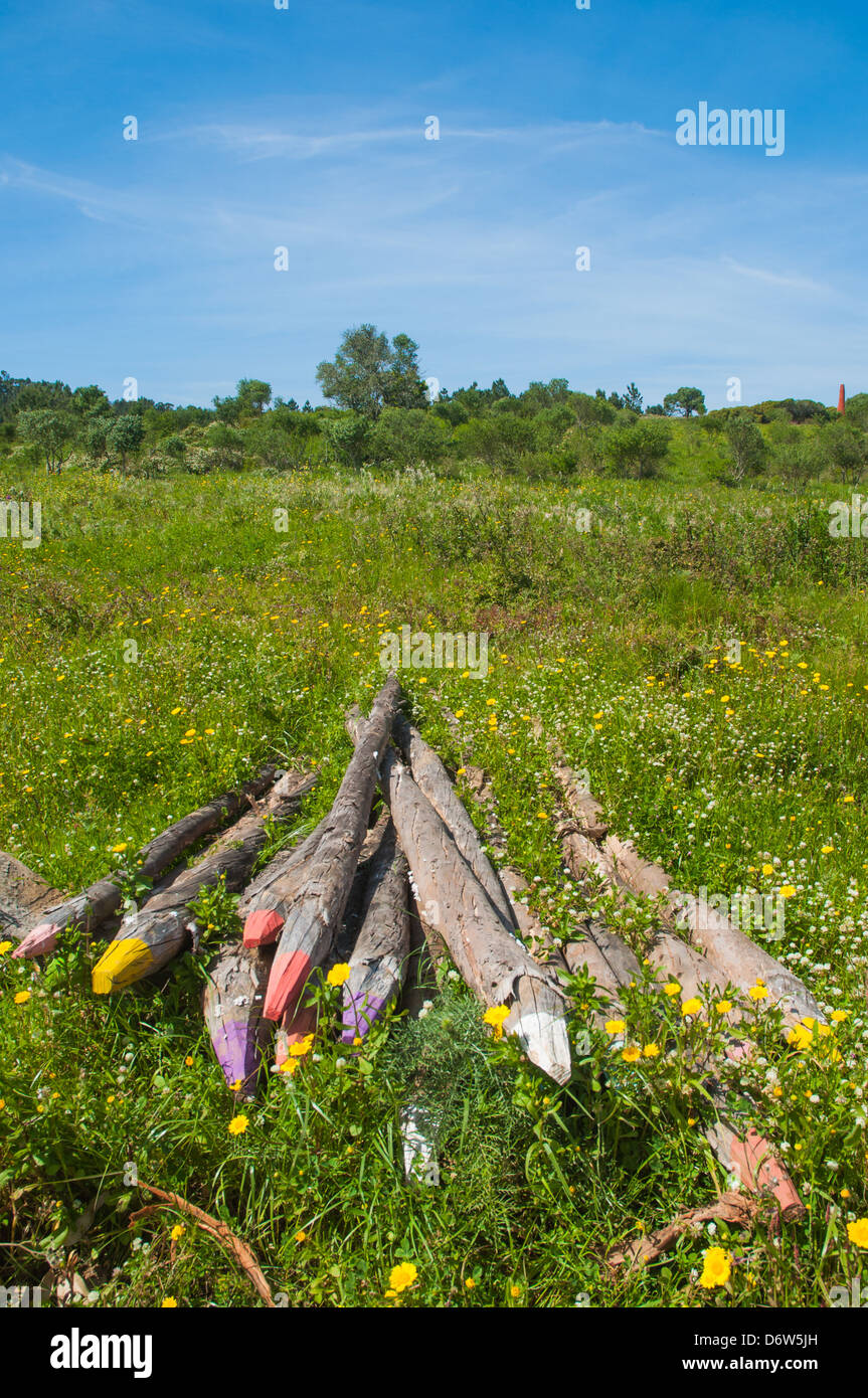 Lápices de madera gigante perdido en la pradera Foto de stock