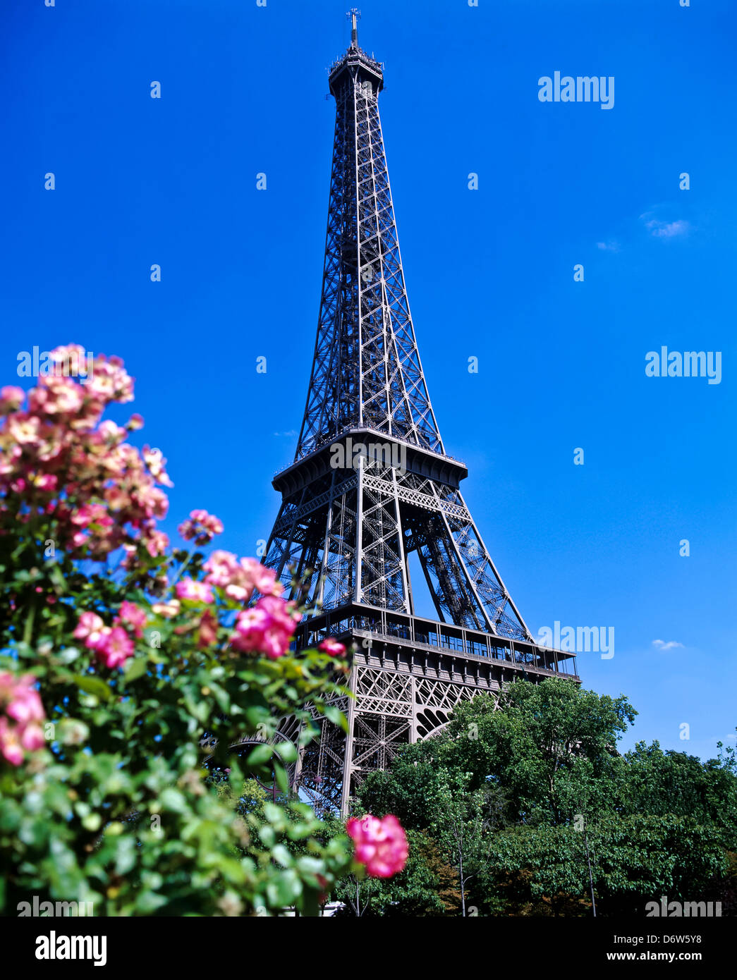 8417. La Torre Eiffel, en París, Francia, Europa Foto de stock