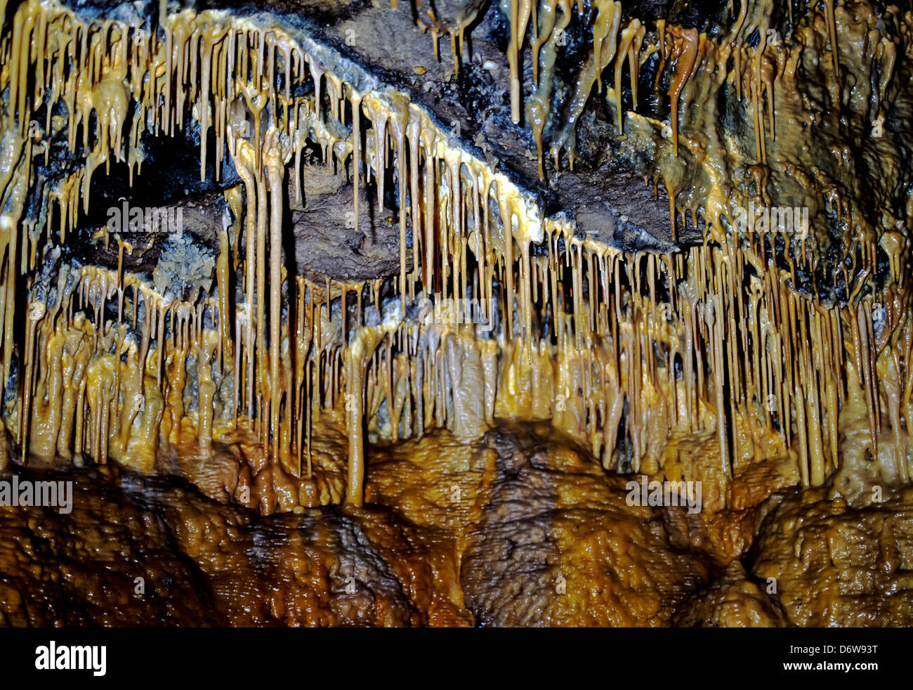 8492. Las formaciones de estalactitas y estalagmitas, Treak Cliff Cavern, Derbyshire, Inglaterra, Europa Foto de stock