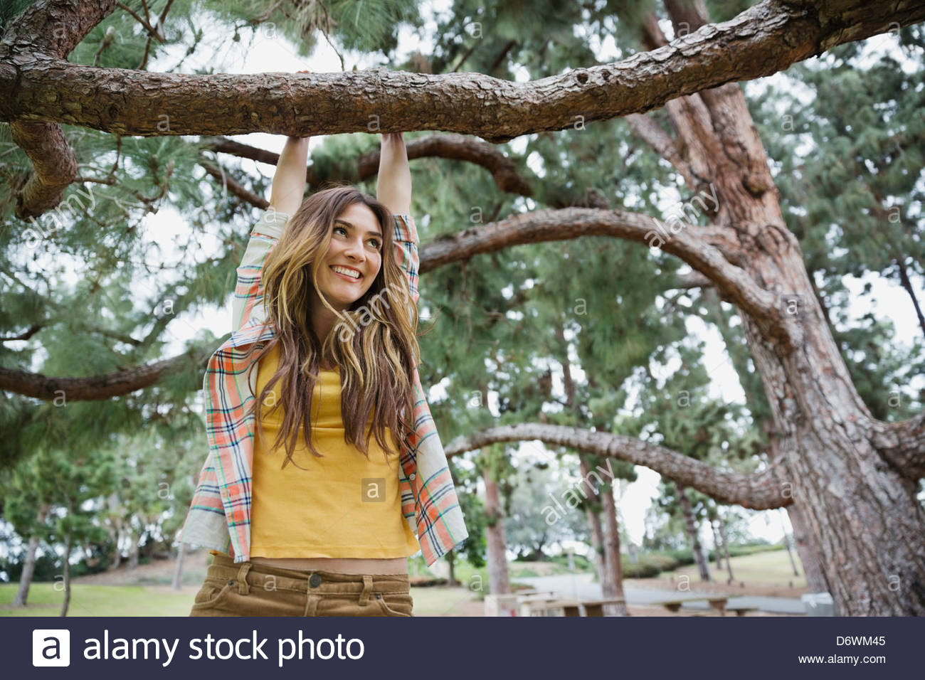 Feliz joven mirando hacia arriba mientras pendía sobre la rama de un árbol en el parque Foto de stock