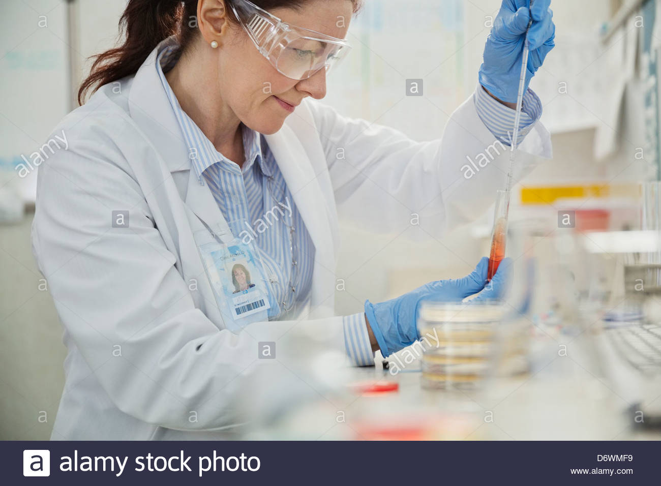 Técnico de laboratorio de pruebas hembra muestra en tubo de ensayo en laboratorio Foto de stock