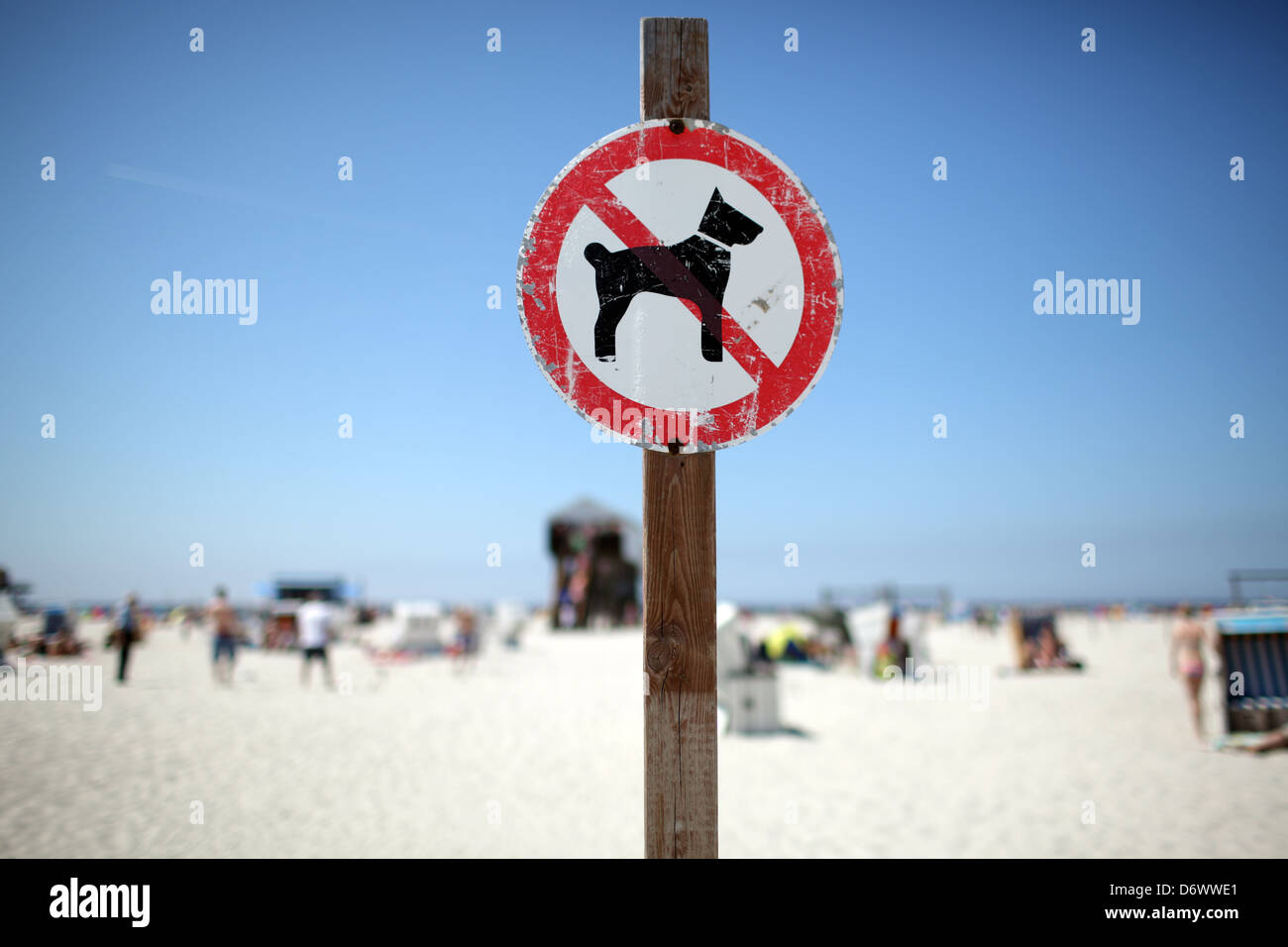 Sankt Peter-Ording, Alemania, Se admiten perros en la playa Foto de stock