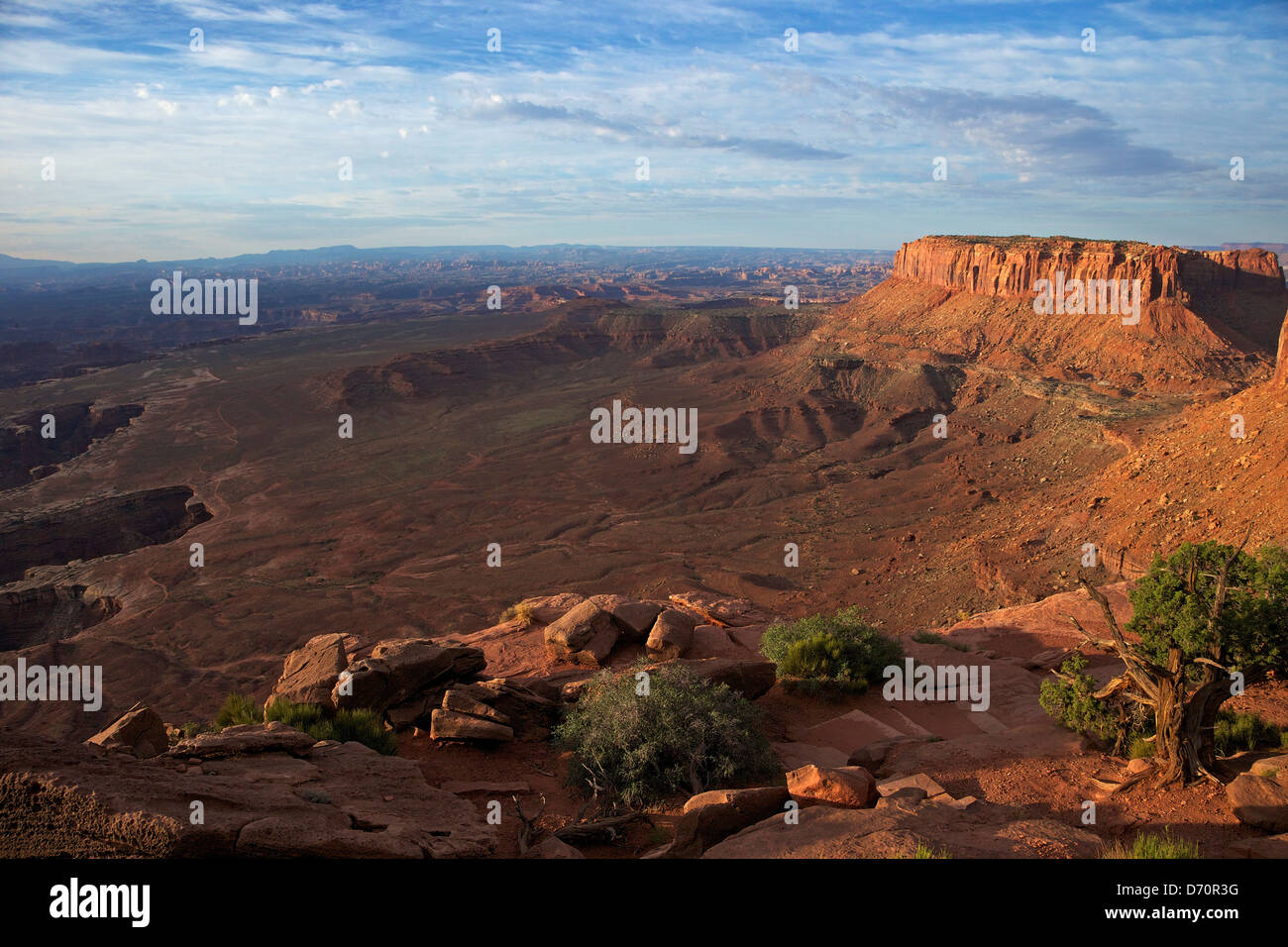 Estados Unidos, Utah, el Parque Nacional Canyonlands, Grand View Point vistas Foto de stock