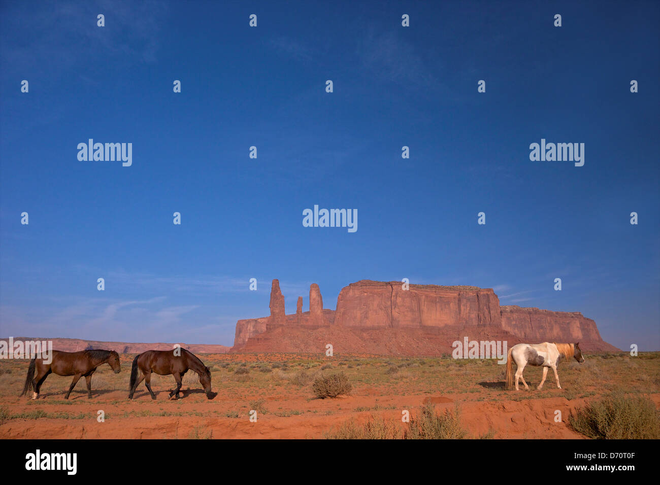 Estados Unidos, Utah, Monument Valley Navajo Tribal Park, formación rocosa y caballos Foto de stock