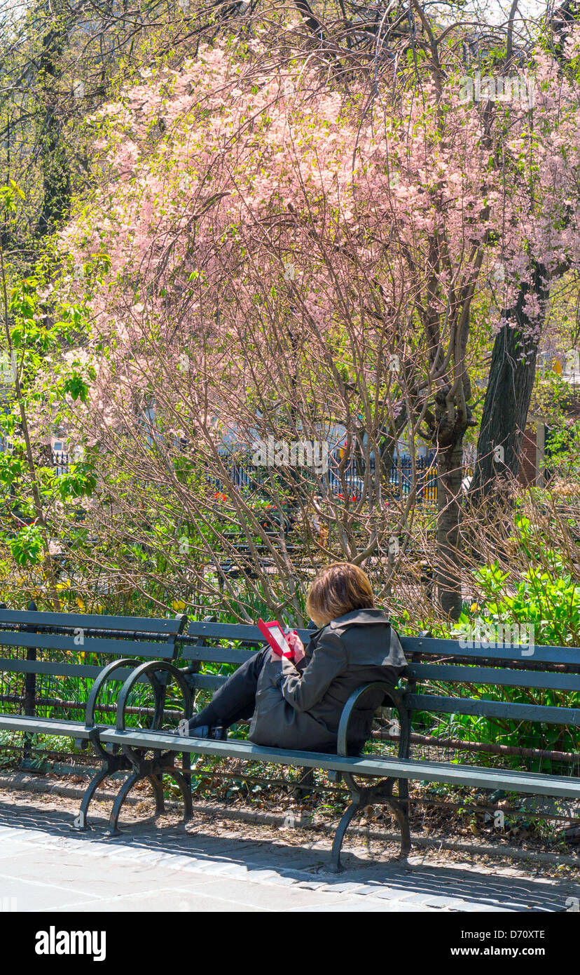 Mujer joven en un banco en Central Park, la lectura en un e-reader Foto de stock