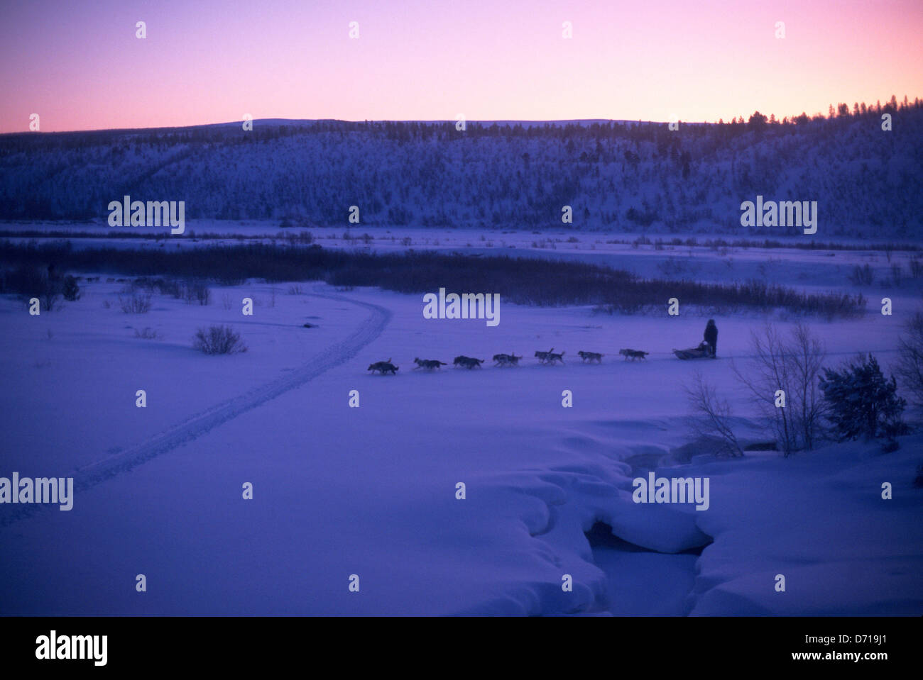 Noruega Finnmark, cerca de Karasjok, Mid-Winter, trineos de perros, alrededor del mediodía el equipo Foto de stock