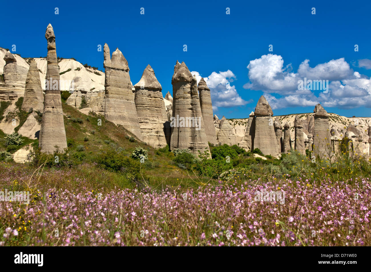 Formaciones de roca de toba en el amor valle cerca de Uchisar, el Parque Nacional de Göreme y la roca Sitios de Cappadocia, Turquía Foto de stock