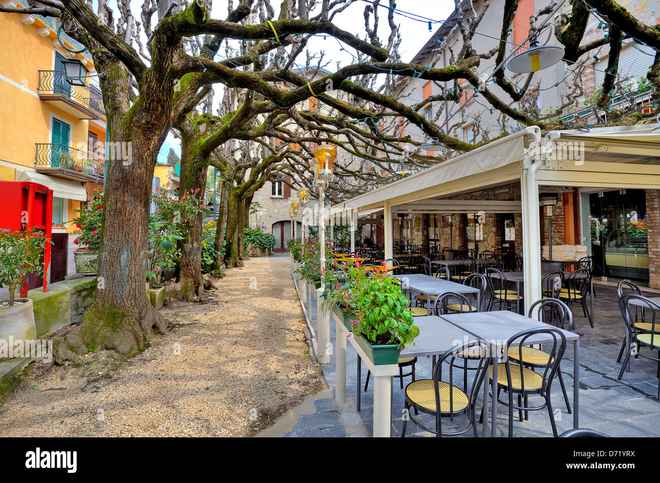 Restaurante al aire libre con mesas y sillas bajo las ramas de un árbol en  la ciudad de Sirmione, Italia Fotografía de stock - Alamy