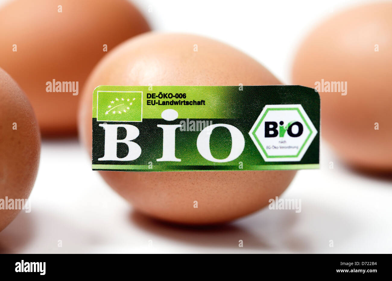 Huevo con bio-seal, simbólica foto mal declarados biología huevos Foto de stock