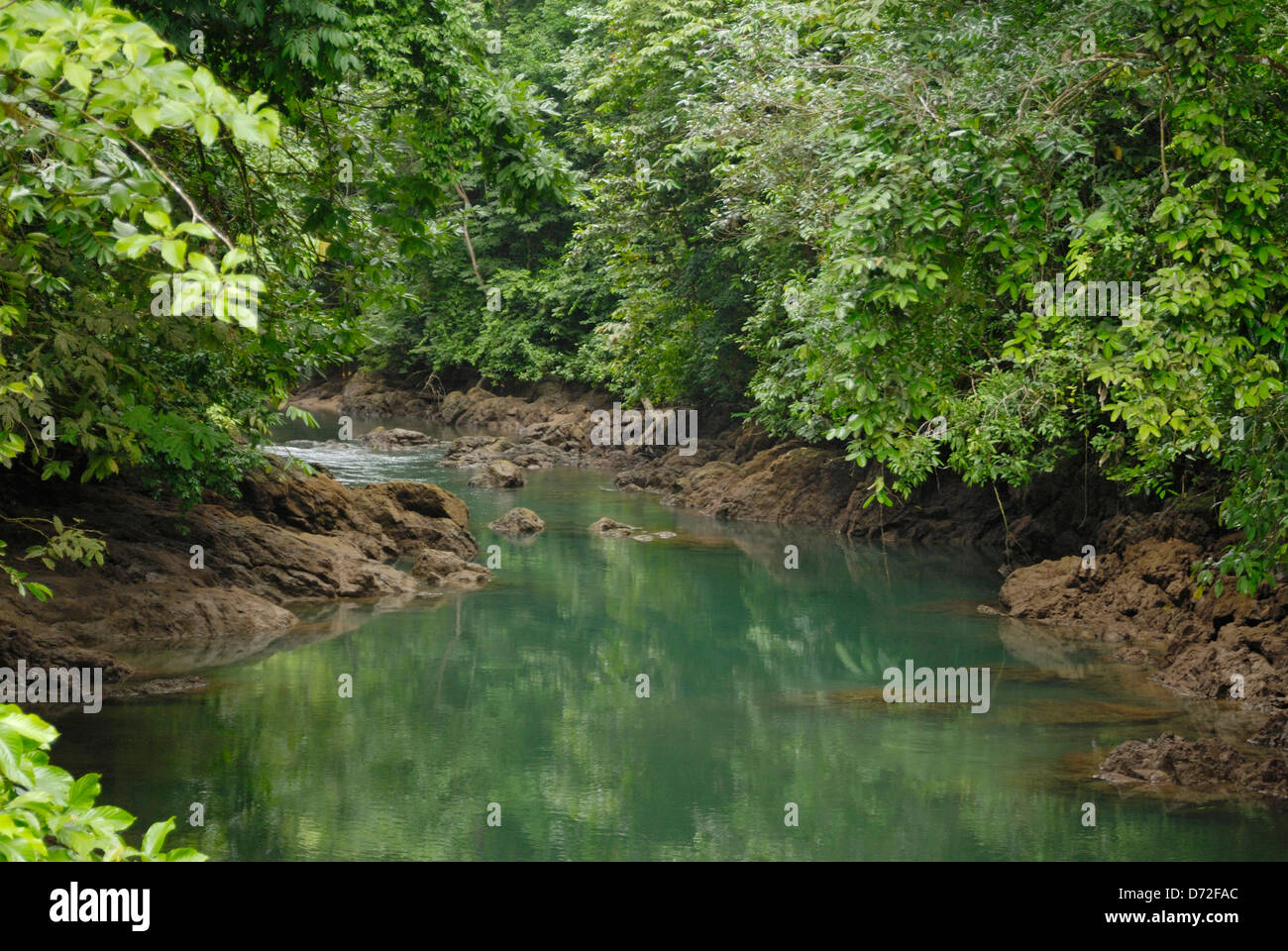 Un río en la selva tropical en la Península de Osa, Costa Rica Foto de stock