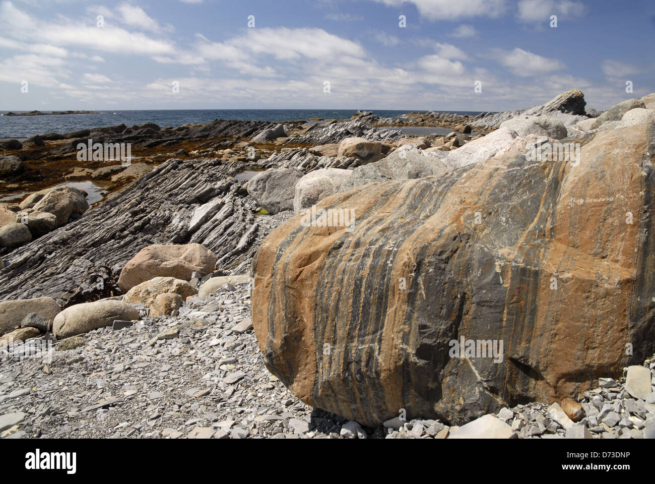 Playa rocosa, la Costa Oeste, Terranova Foto de stock