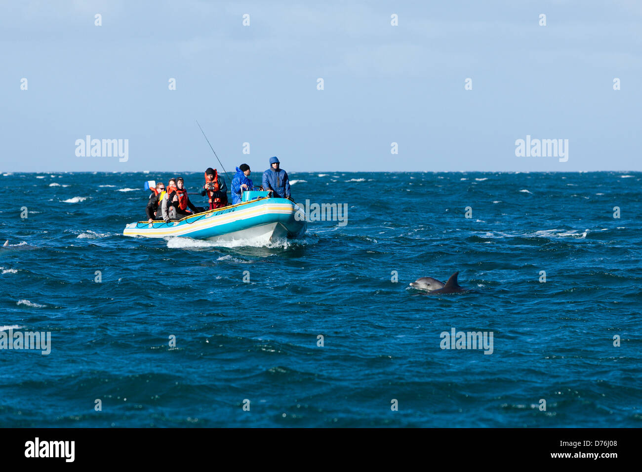 Los turistas en delfines, Costa Salvaje, tapa de Oriental, Sudáfrica Foto de stock