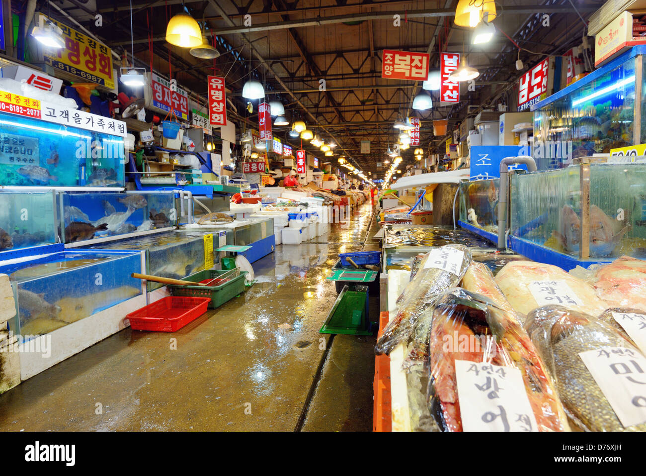Noryangjin Mercado Mayorista Pesquero en Seúl, Corea del Sur Foto de stock