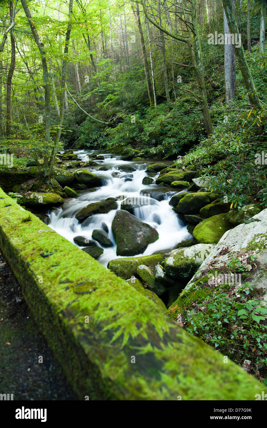 Corriente de un río a lo largo de una carretera en el Great Smoky Mountain National Park. Foto de stock