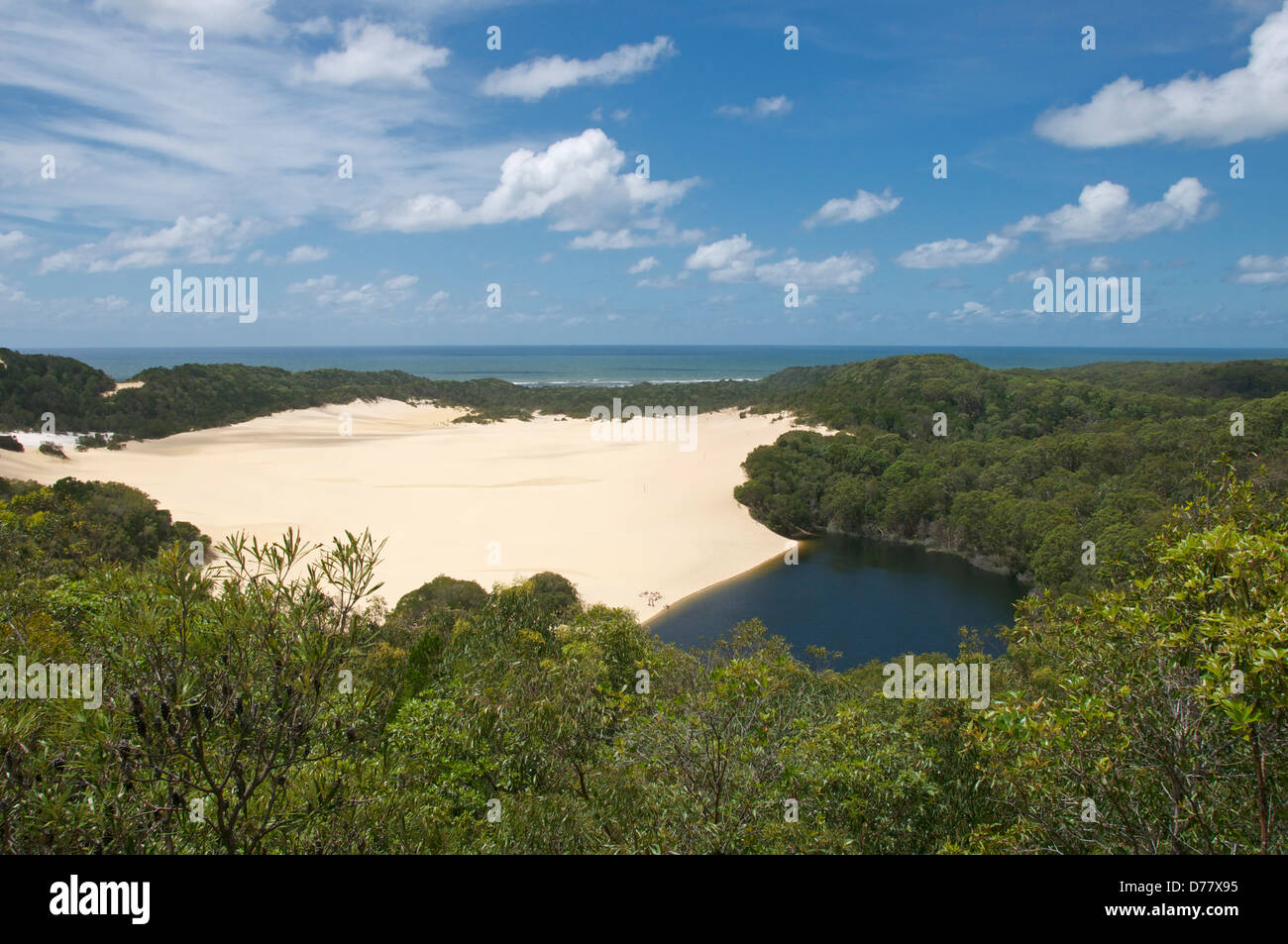 El Lago Wabby Fraser Island Queensland Australia Foto de stock