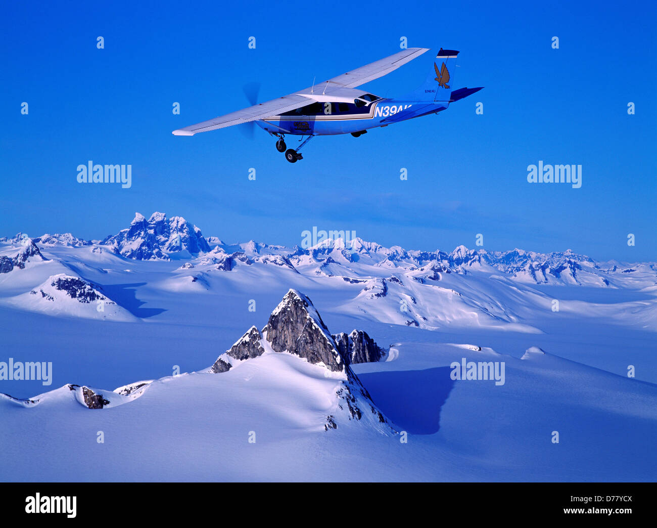 Alas Alaska Cessna 207 sobre ruedas sobrevolar Juneau Icefield Alaska. Foto de stock