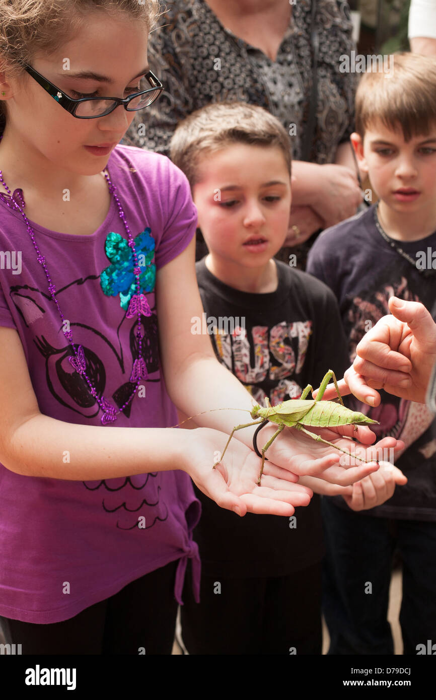 Los niños son felices al ver un insecto gigante en el Magic Wings