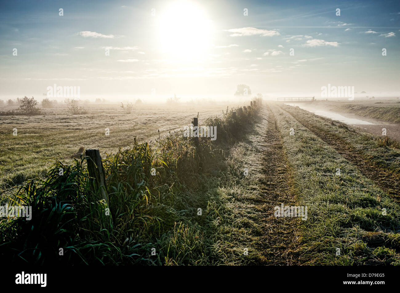 Amanecer sobre campos de Kirchwerder, 4 y tierra pantanosa, Hamburgo , Morgendämmerung über Feldern en Kirchwerder, Vier- und Marsch Foto de stock