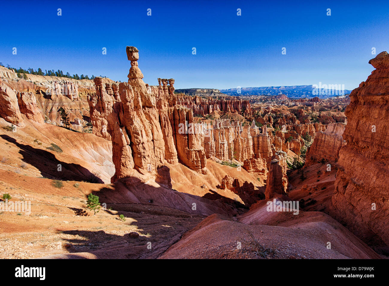 En Bryce Canyon Foto de stock