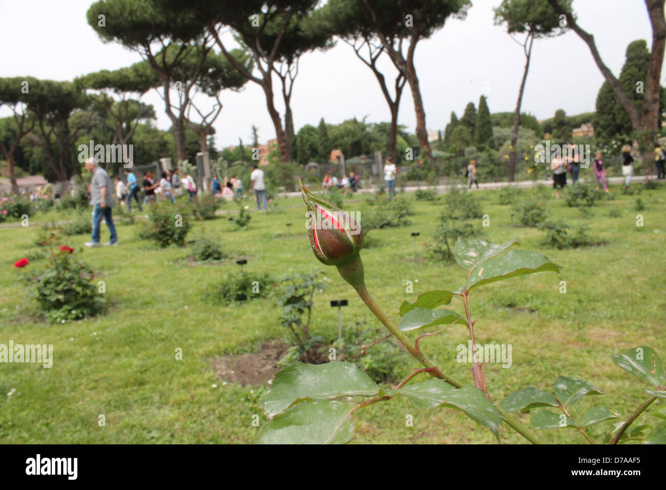 Una vista panorámica del Jardín Municipal en Roma Foto de stock