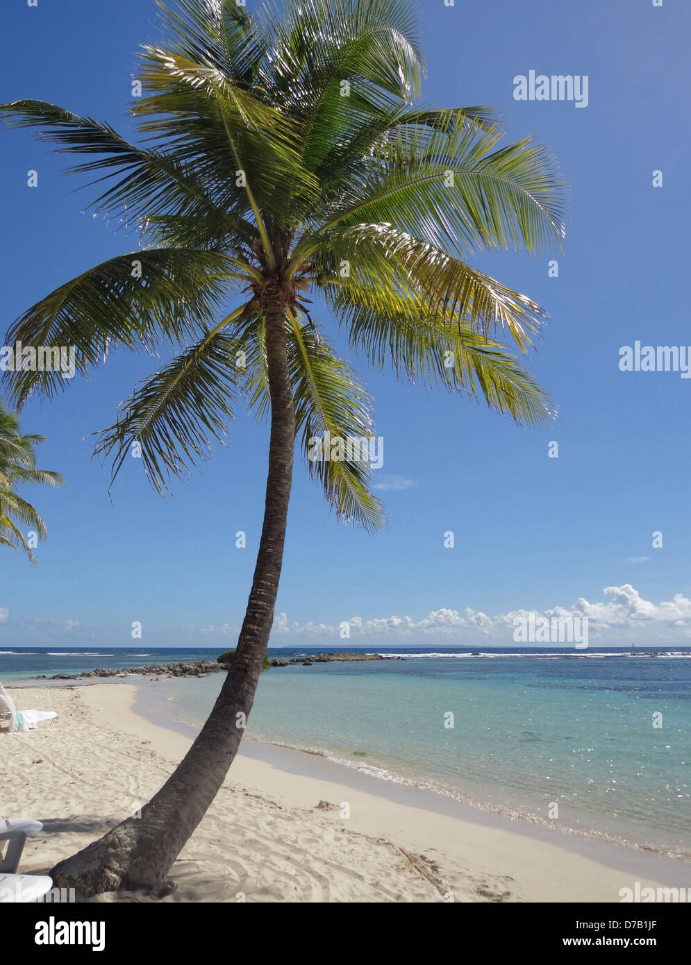 Costero idílico escenario de la playa en una isla del Caribe llamada Guadalupe Foto de stock