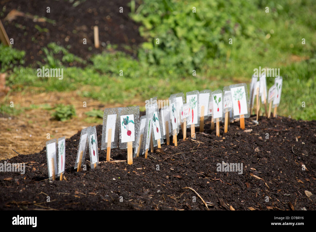 Palos rotulados con imágenes de hortalizas en el Huerto de niños en el  Jardín Botánico de Brooklyn, Nueva York, NY Fotografía de stock - Alamy