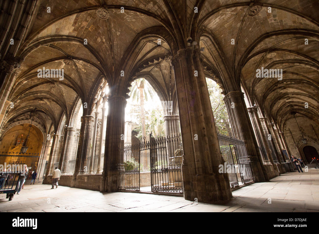 Claustro de la Catedral - la catedral de Barcelona, España. Foto de stock