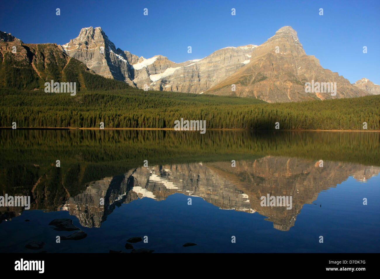 Lago de aves acuáticas, Parque Nacional de Banff, Alberta, Canadá Foto de stock