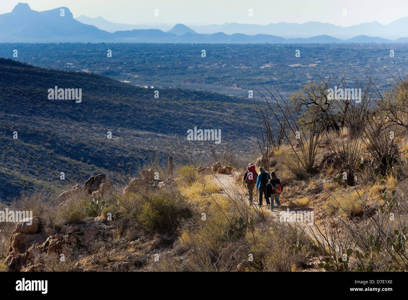 Senderismo el romero, Catalina Canyon Trail State Park, Tucson, AZ Foto de stock