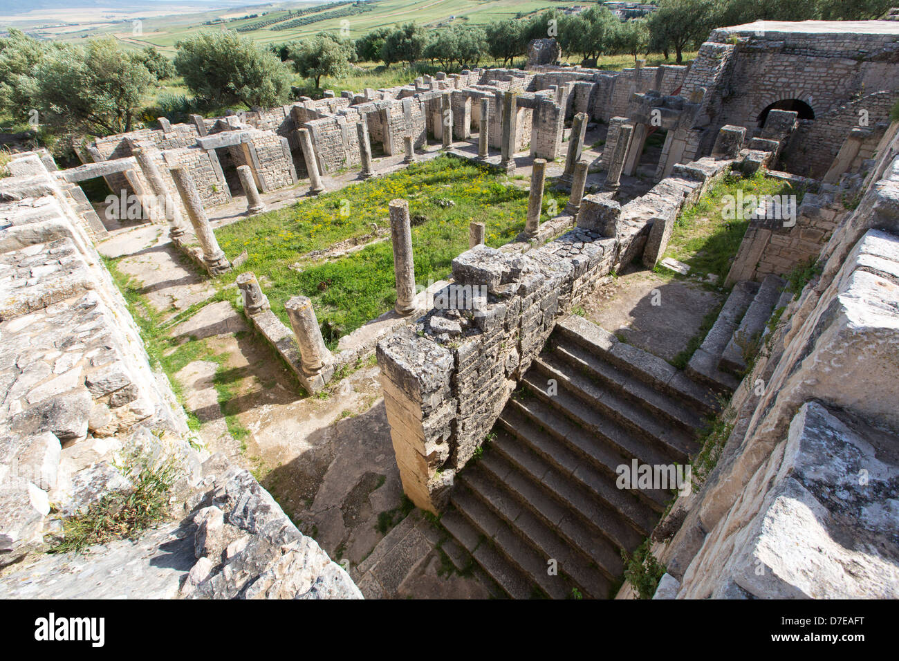Burdel, la Casa del Trébol, las ruinas romanas de Dougga en Túnez Foto de stock