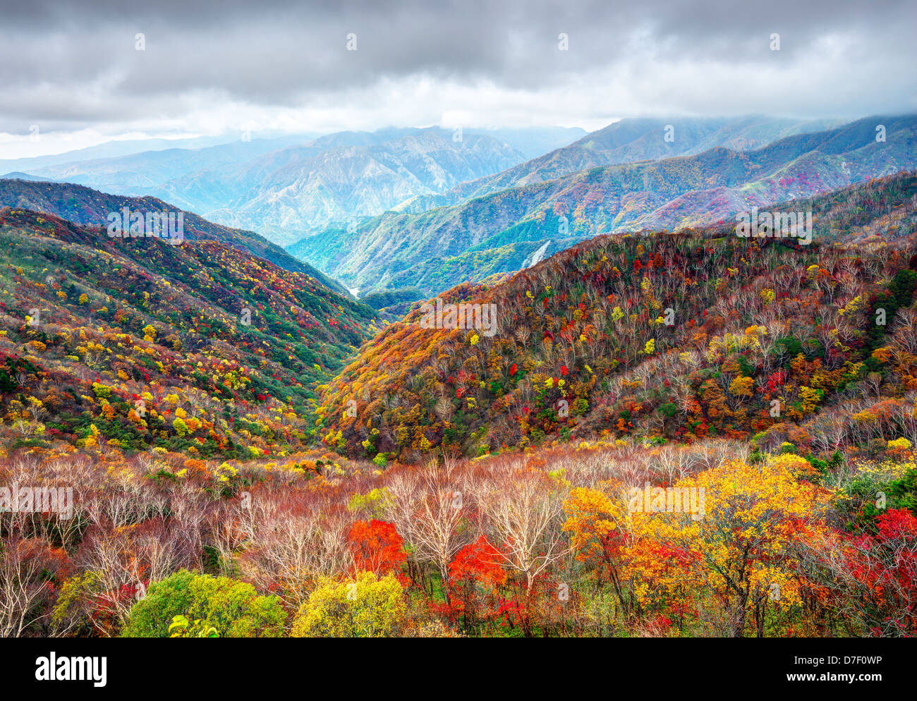 El Paisaje En El Parque Nacional Nikko En Tochigi Japon Fotografia De Stock Alamy