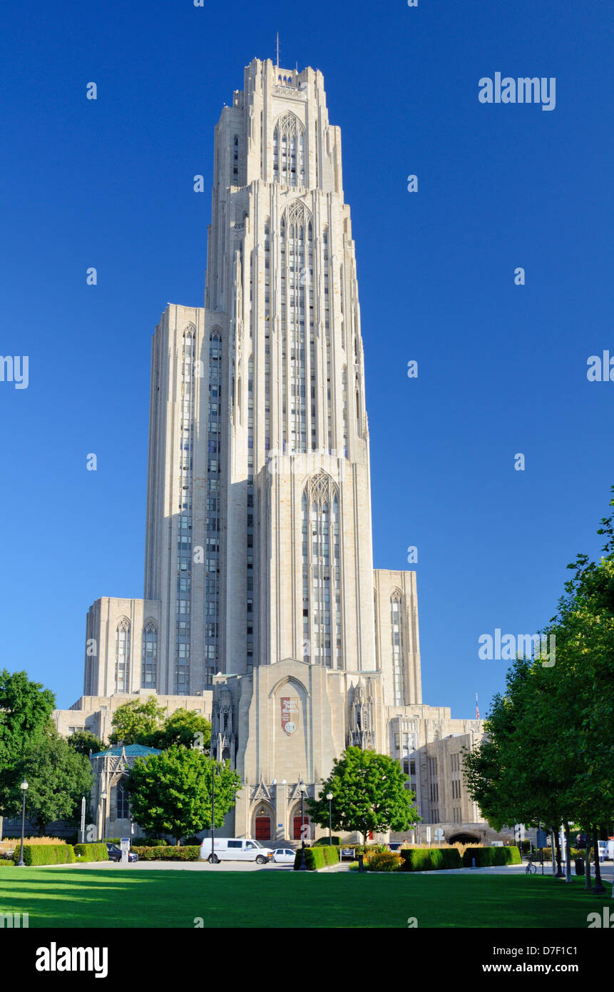 La Catedral del Aprendizaje en el campus de la Universidad de Pittsburgh. Foto de stock