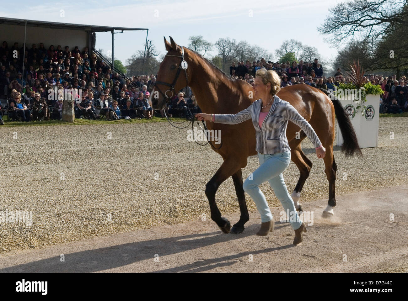 Badminton Horse Trials, Mary King con Imperial Cavalier ejecutando a caballo para los veterinarios pueden ver el caballo es adecuado y bien. Gloucestershire, Reino Unido. Los veterinarios la inspección final. HOMER SYKES Foto de stock