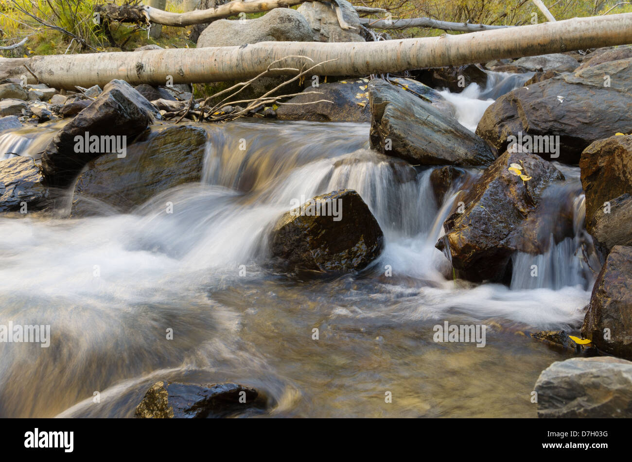Arroyo que fluye a través de un glade aspen con sedosa agua borrosa Foto de stock
