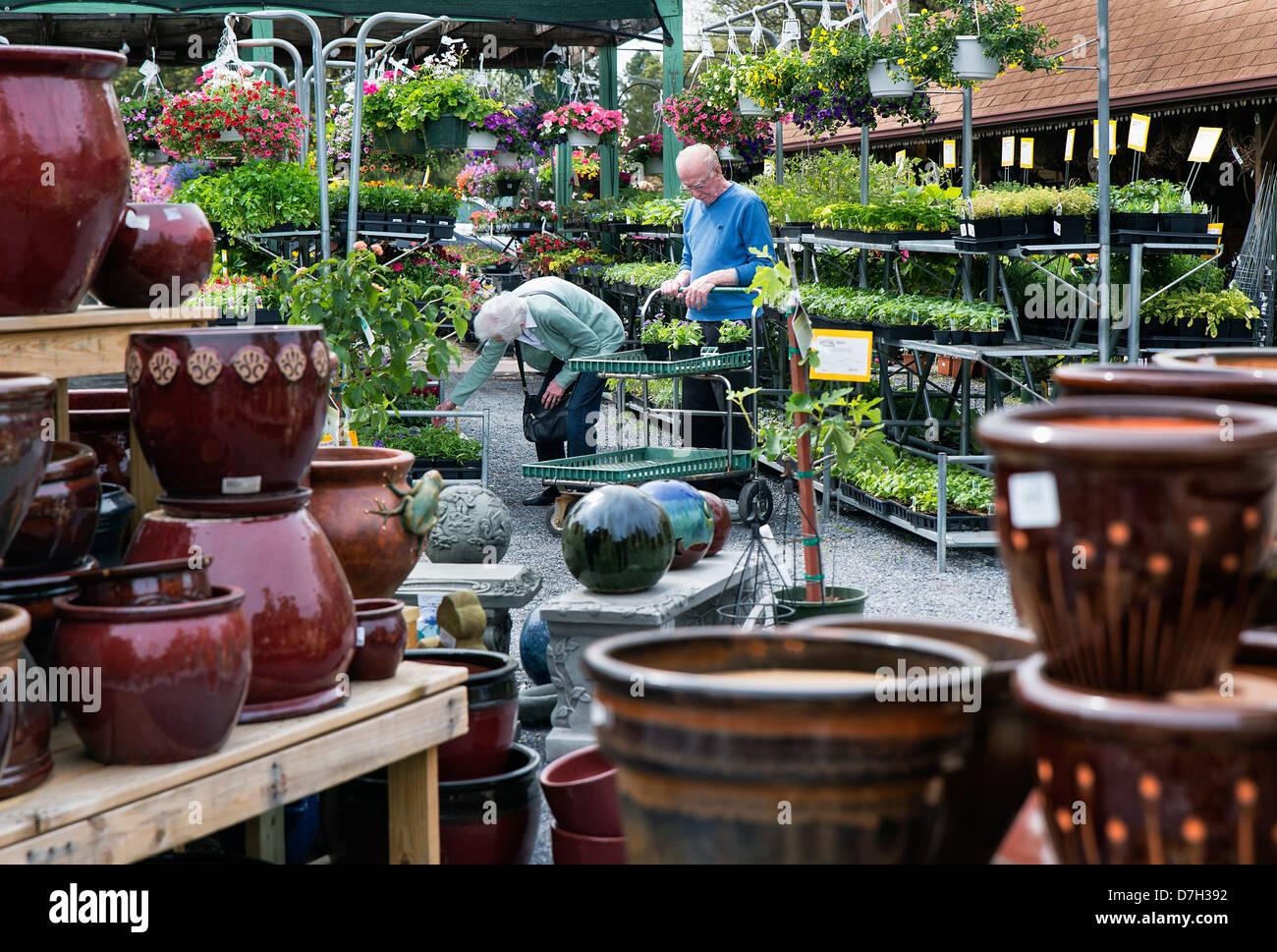 Pareja Senior para compras de plantas en un centro de jardinería. Foto de stock