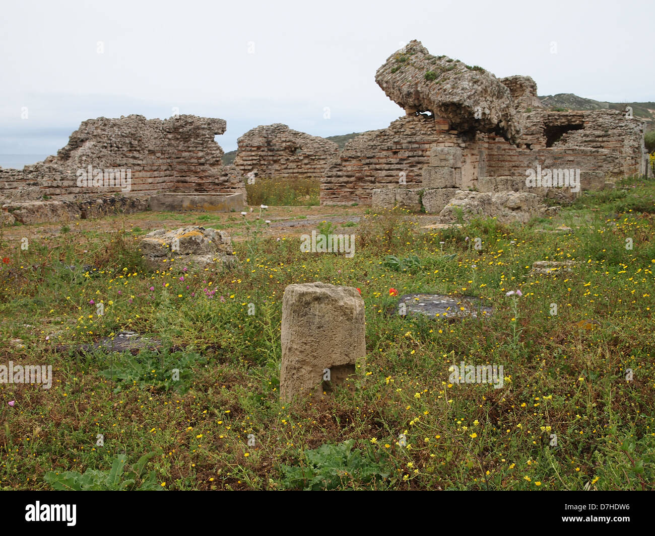 Una colorida pradera en ruinas en Cerdeña Foto de stock