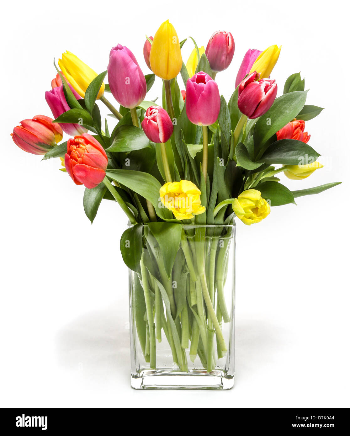 Un hermoso arreglo floral de coloridos tulipanes Fotografía de stock - Alamy