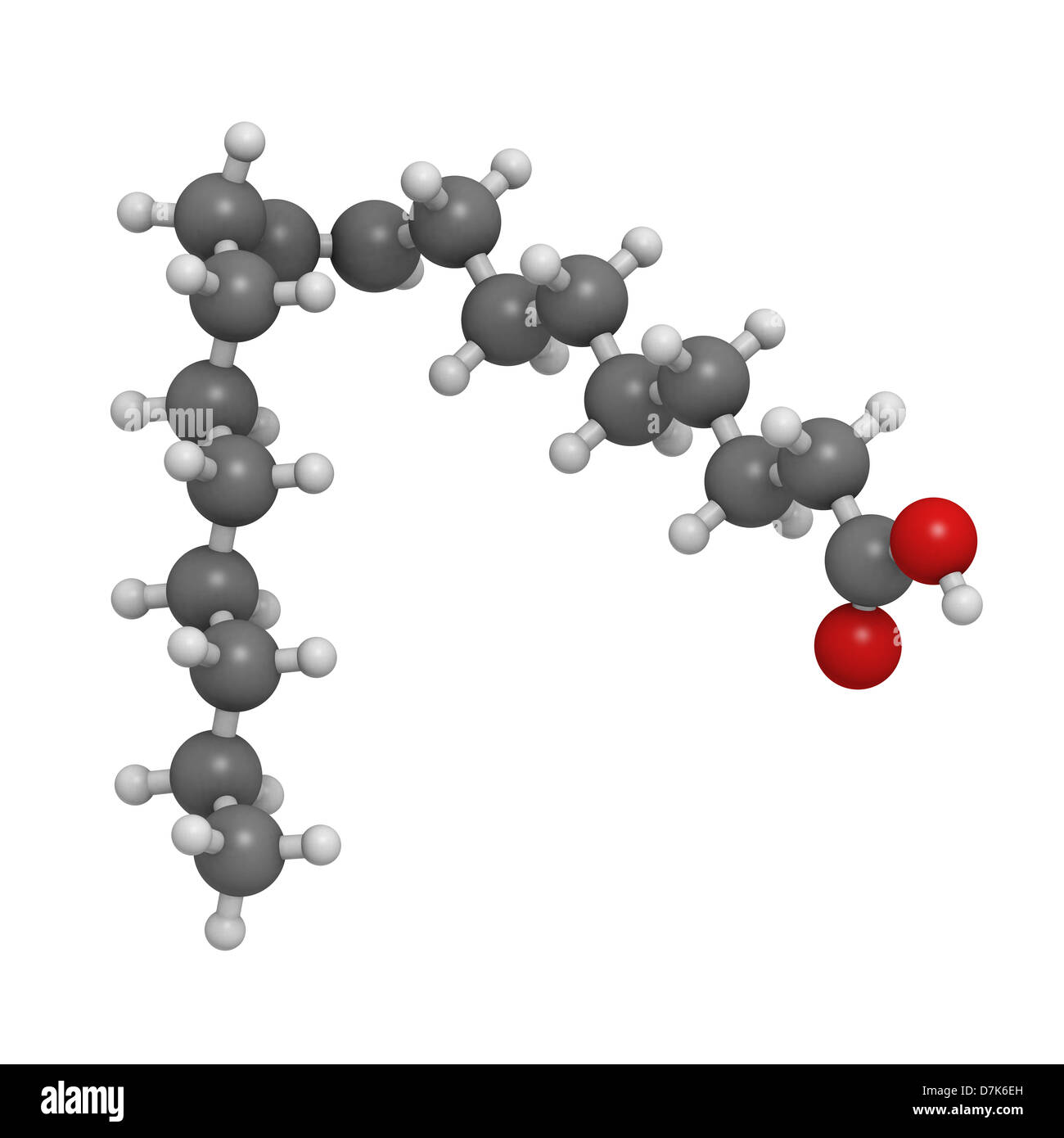 Ácido oleico ácido graso omega9, modelo molecular. El ácido oleico es