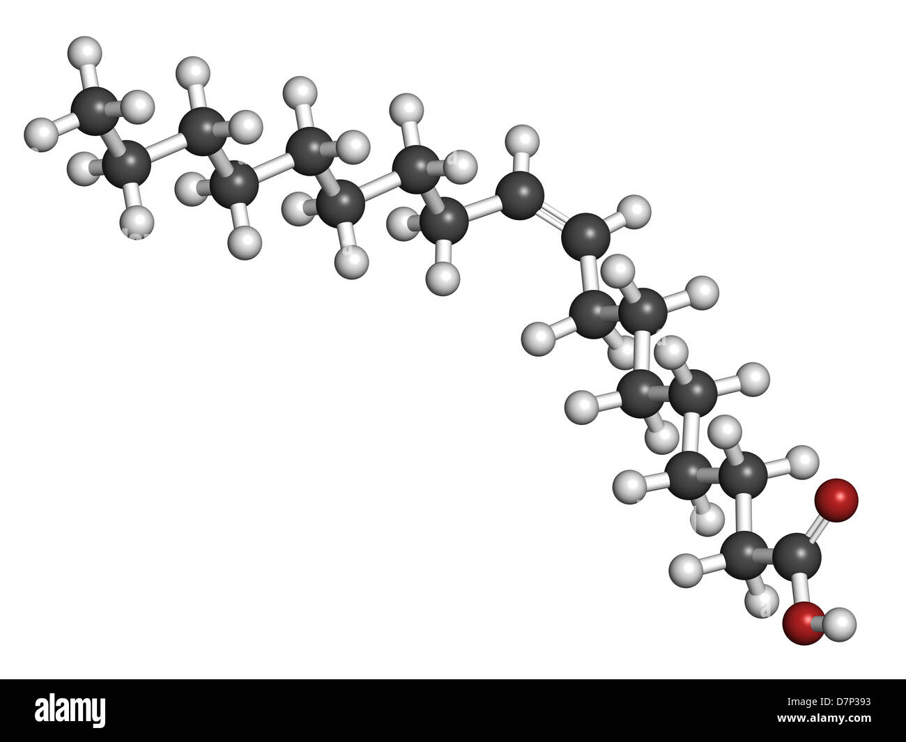 Ácido oleico ácido graso omega9, modelo molecular. El ácido oleico es