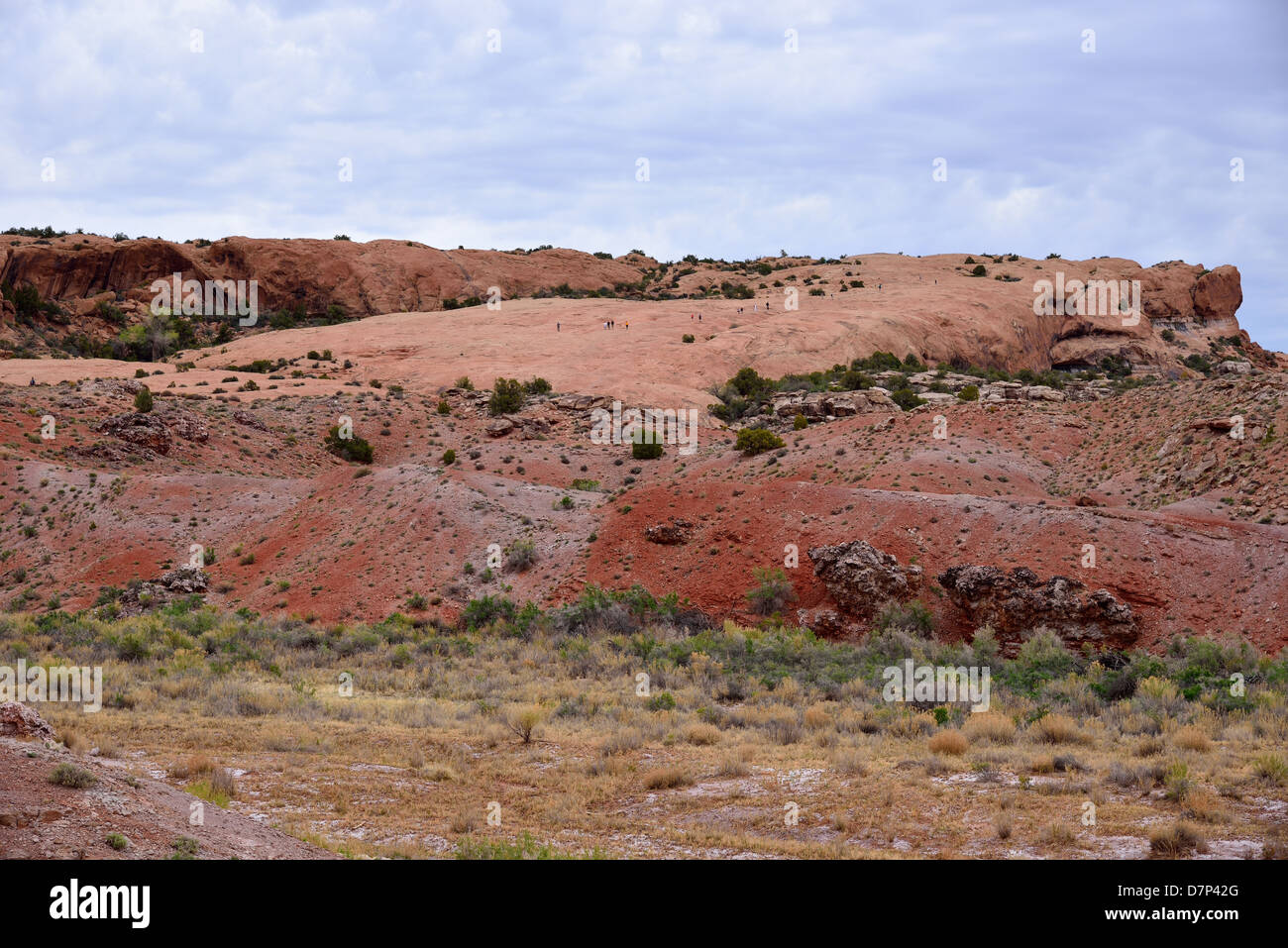 La piedra arenisca roja forma una rampa de relé de fallo a lo largo del arco delicado Trail. Arches National Park, Moab, Utah, EE.UU.. Foto de stock