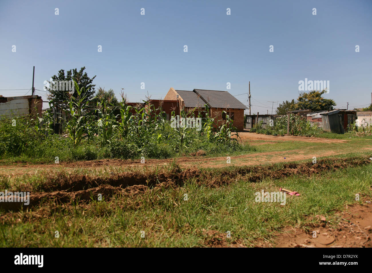 Los ciudadanos de una aldea rural cultivar sus propias hortalizas Foto de stock