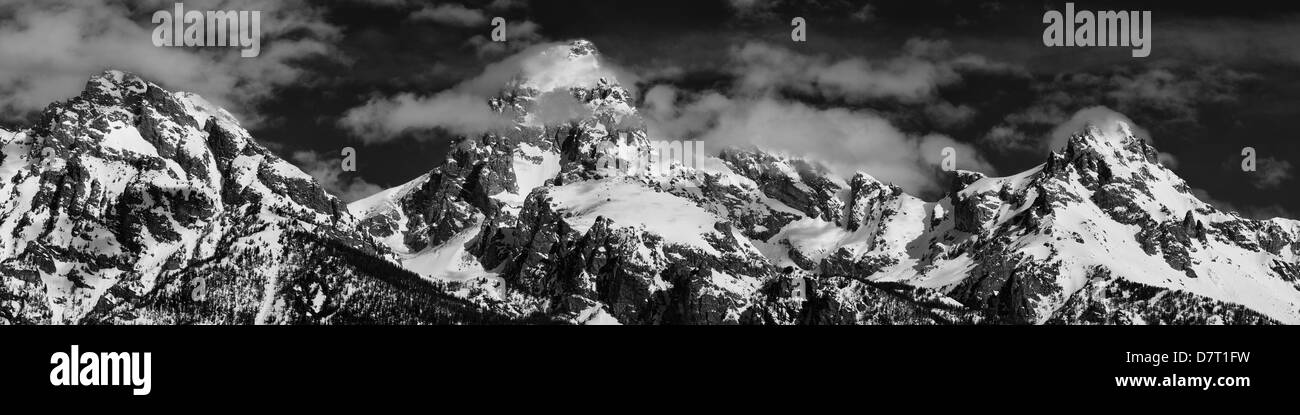 Grand Tetons Panorama en blanco y negro Foto de stock