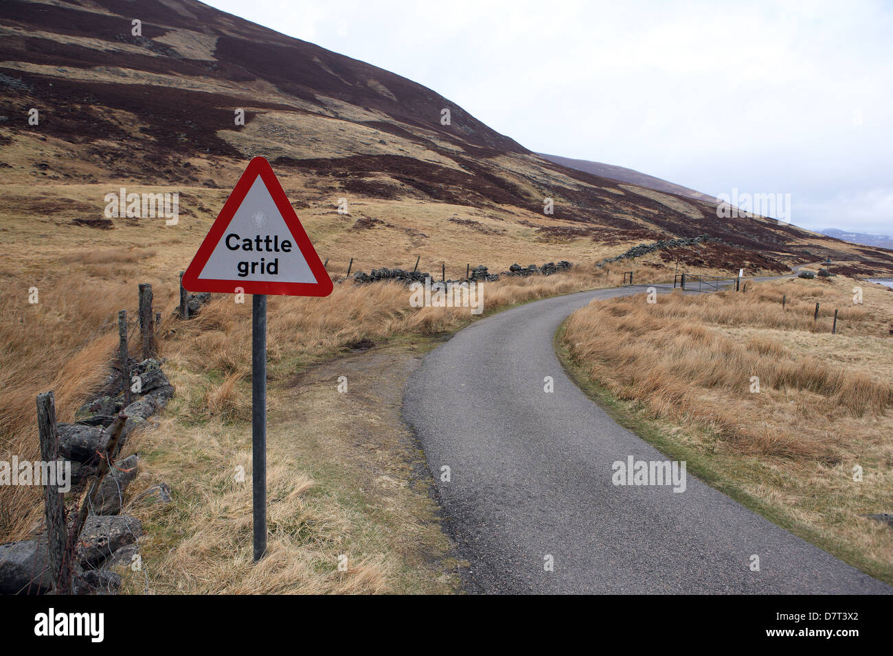 Signo de cuadrícula y cuadrícula de ganado mayor a lo largo de la antigua carretera militar en las Highlands escocesas Foto de stock