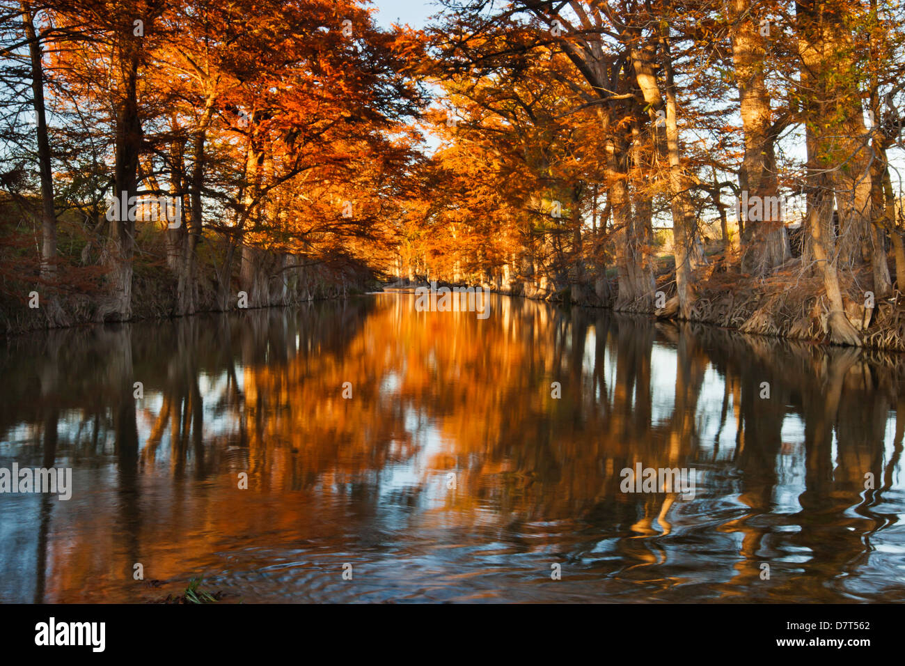 Guadalupe River, Texas Hill Country, el otoño. Foto de stock