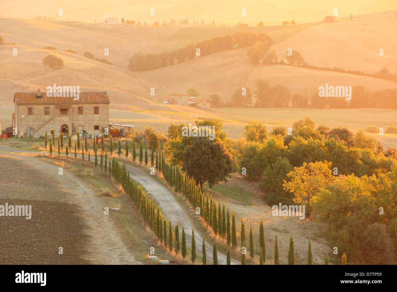 Escena campestre, Toscana, Italia Foto de stock