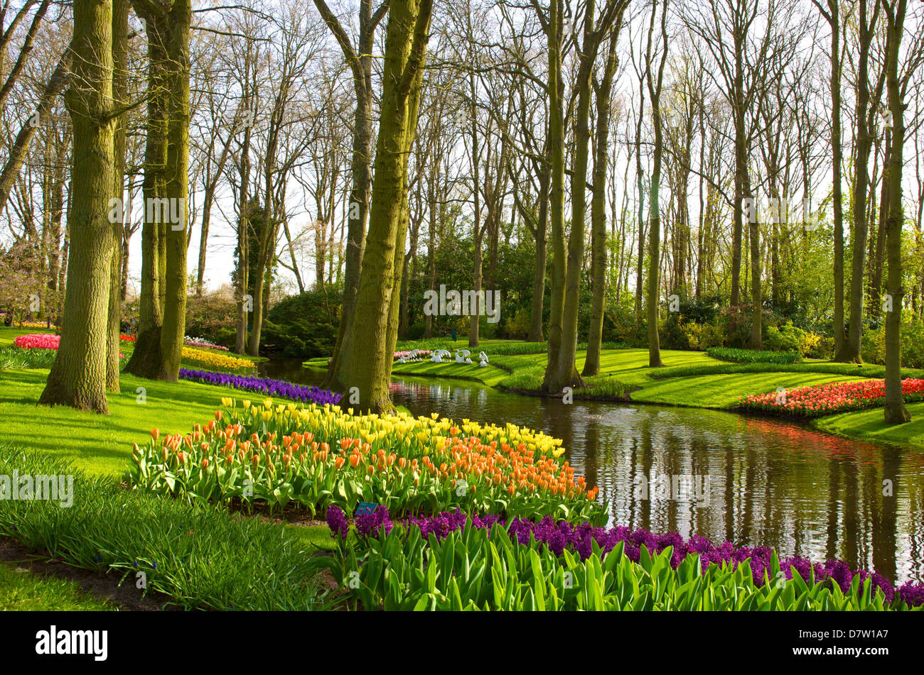 Las flores en los jardines Keukenhof de Lisse, Países Bajos Foto de stock